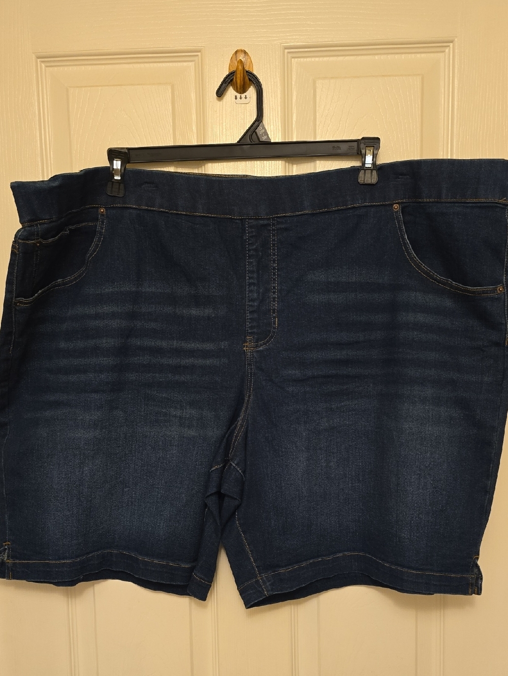 Terra & Sky Dark Wash Denim Shorts